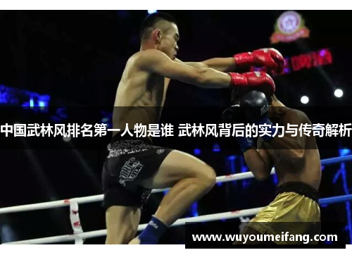 中国武林风排名第一人物是谁 武林风背后的实力与传奇解析