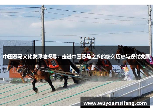 中国赛马文化发源地探寻：走进中国赛马之乡的悠久历史与现代发展